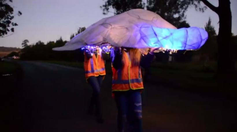 Wingham turned wonderland for Winter Solstice Lantern Walk