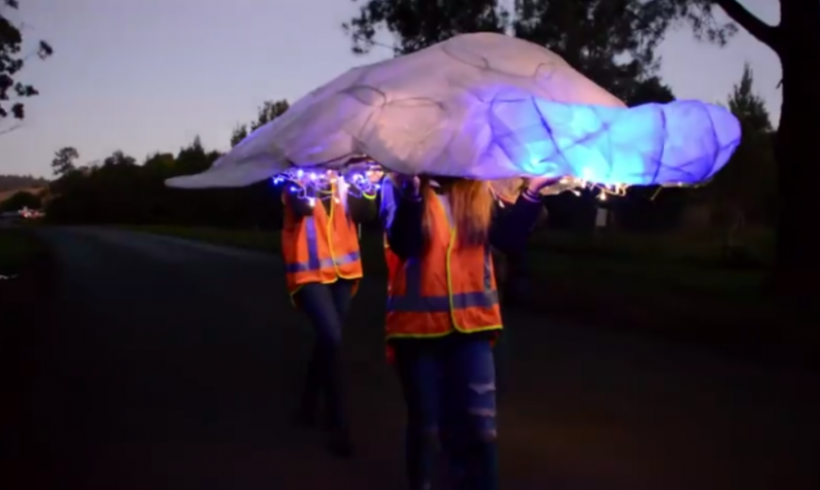 Wingham turned wonderland for Winter Solstice Lantern Walk