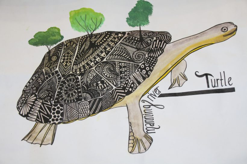 2017 Manning River Turtle Art Competition