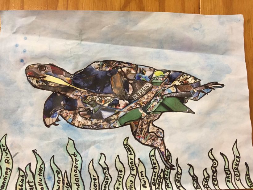 2018 Manning River Turtle Art Competition