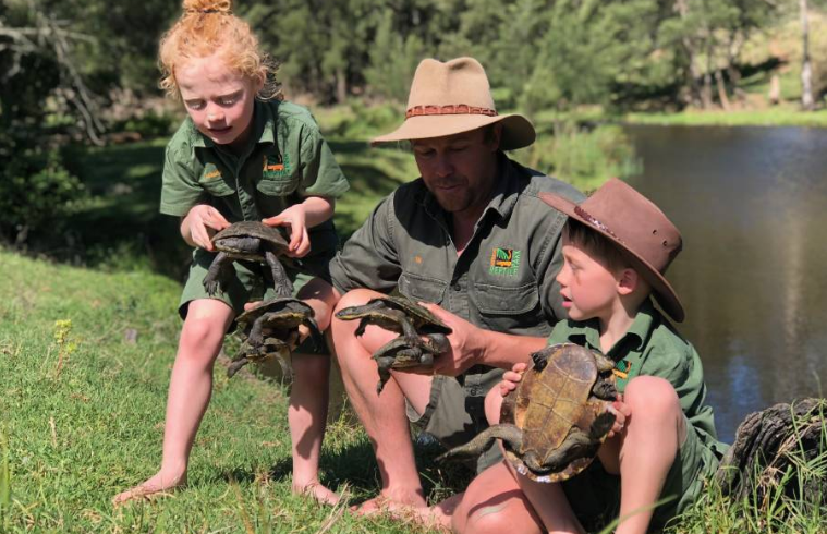 Varying results on Manning River helmeted turtle surveys