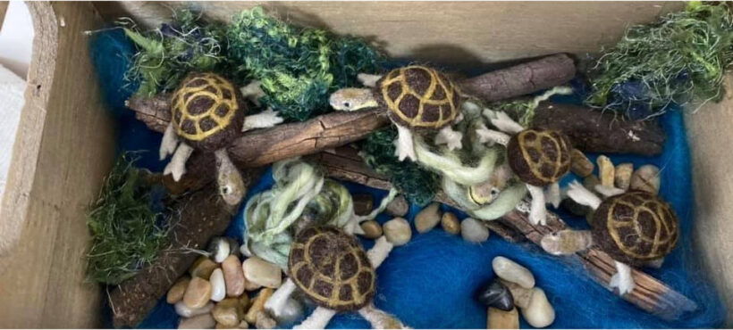 Manning River Turtle Craftanoon for Threatened Species Week 2020