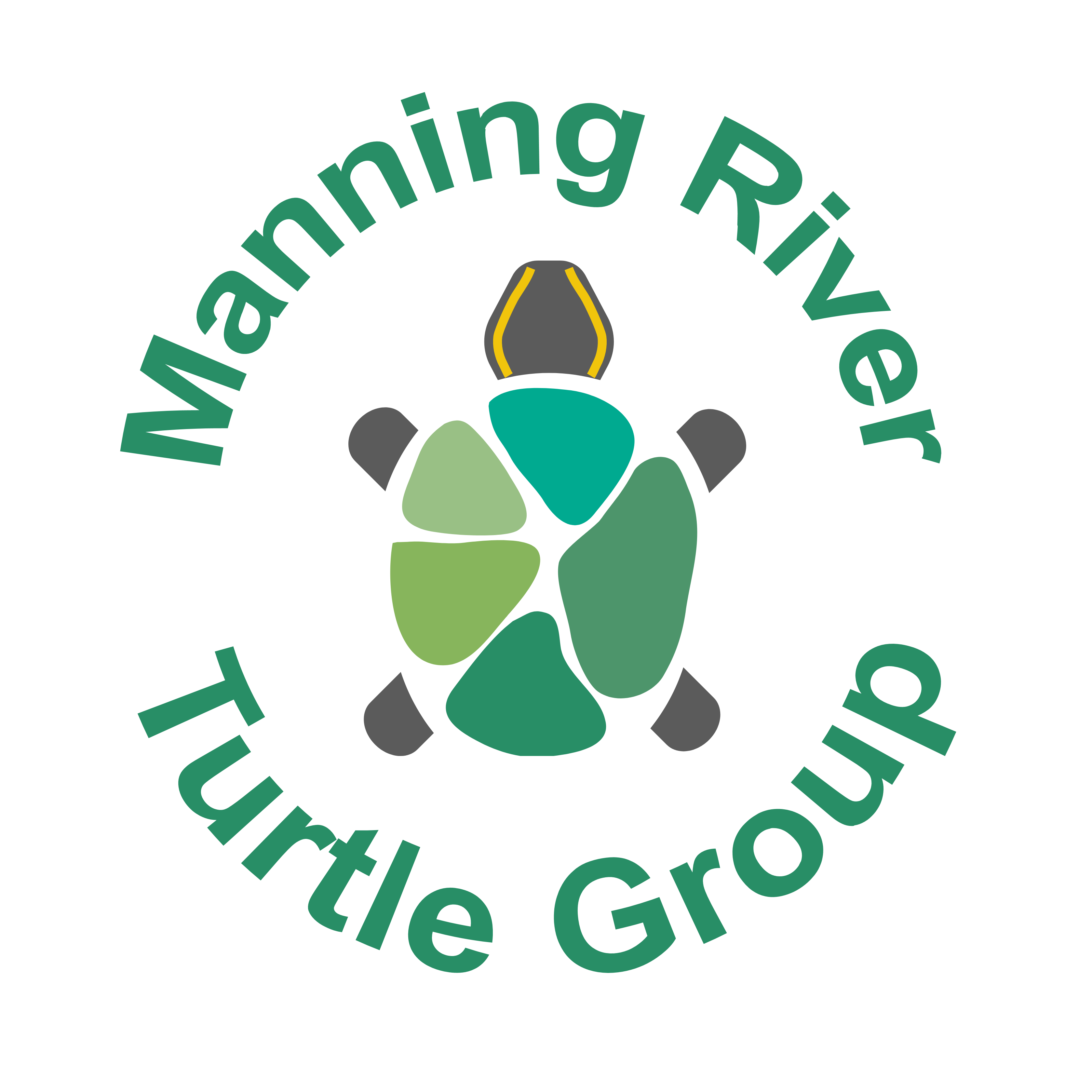 Manning River Turtle Group